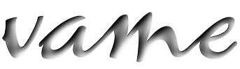 Lernplattform vame Business Academy